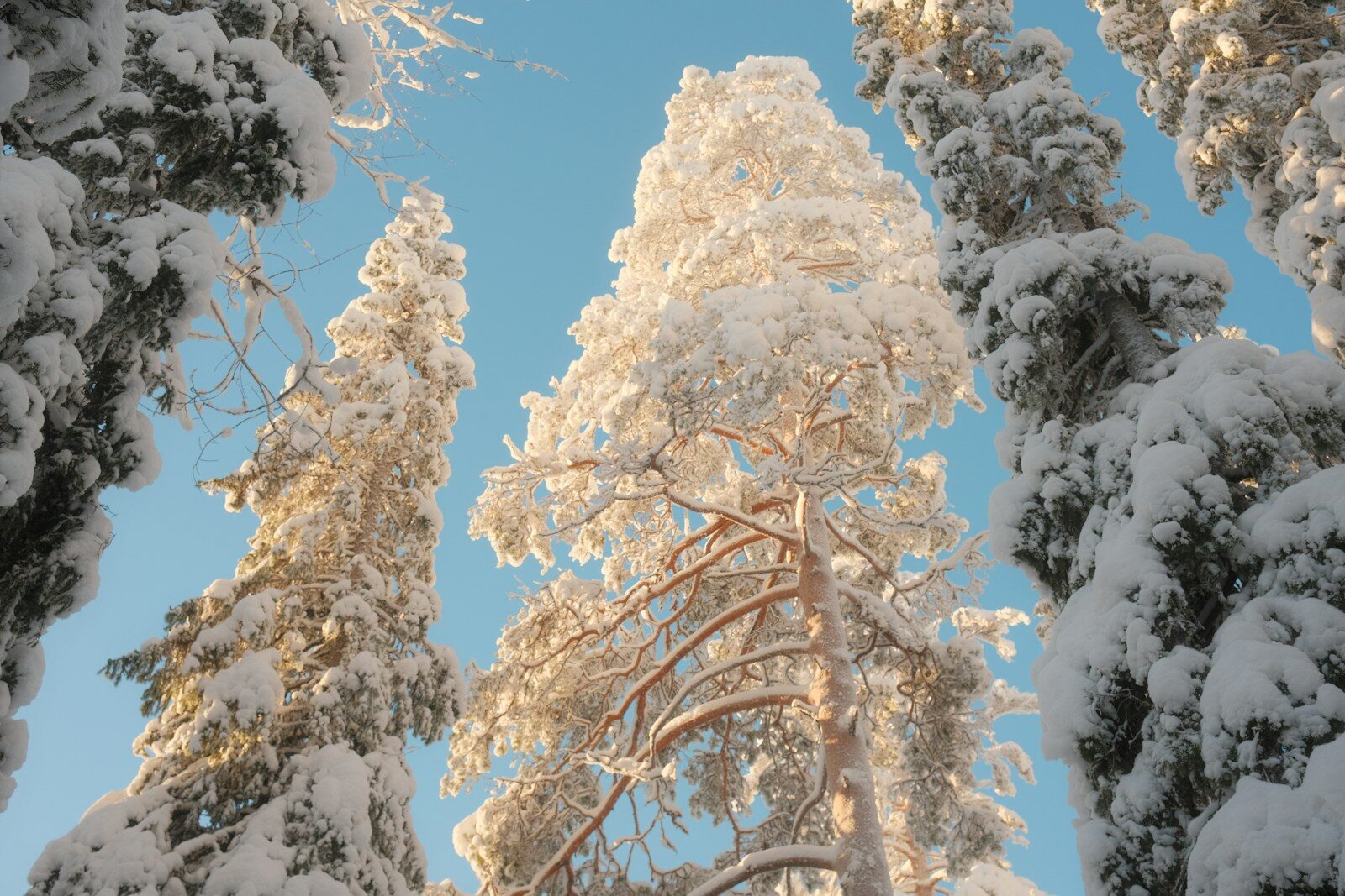 Atomic Energy Compliance